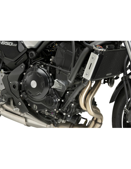 Tampons protection PUIG S19 - KAWASAKI Z650 2017-2026 - Z650RS 2022-2026 - Z650S 2026