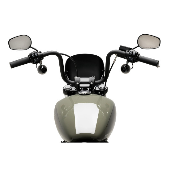 Saute vent PUIG Anarchy - HARLEY DAVIDSON SOFTAIL STREET BOB FXBB 2018-2026