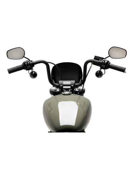 Saute vent PUIG Anarchy - HARLEY DAVIDSON SOFTAIL STREET BOB FXBB 2018-2026