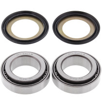 Roulements de colonne de direction ALL BALLS - 450-550 RXV SXV 2006-11
