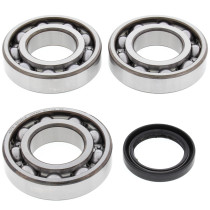 Roulements et joints spi de vilebrequin ALL BALLS - POLARIS