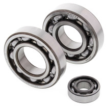 Roulements et joints spi de vilebrequin ALL BALLS - 500 LT-F