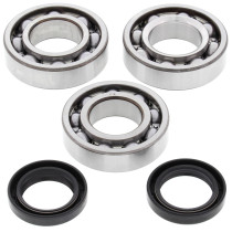 Roulements et joints spi de vilebrequin ALL BALLS - POLARIS
