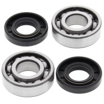 Roulements et joints spi de vilebrequin ALL BALLS - KTM 50cc