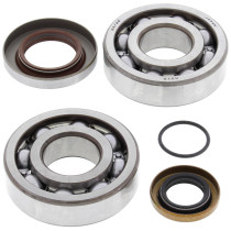 Roulements et joints spi de vilebrequin ALL BALLS - 200 EC 2003-2004