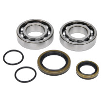 Roulements et joints spi de vilebrequin ALL BALLS - BETA 250 RR - 300 RR 2013-22 - 300 XTRAINER 2015-22