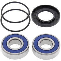 Roulements de roue avant ALL BALLS - POLARIS 250-500cc