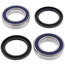Roulements de roue arrière ALL BALLS - ARCTIC CAT - KAWASAKI - SUZUKI moyeux type origine