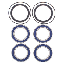 Roulements de roue arrière ALL BALLS - SUZUKI 450 LT-R 2006-2011