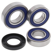 Roulements de roue arrière ALL BALLS - KTM Duke 690 2014-2017