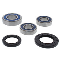 Roulements de roue arrière ALL BALLS - SUZUKI GSR600 (Euro) 2006-2007 750 GSXS 2016