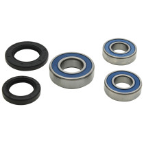 Roulements de roue arrière ALL BALLS - BMW G 310 GS 2018-2019