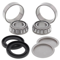 Roulements de bras oscillant ALL BALLS - ARCTIC CAT - HONDA et POLARIS