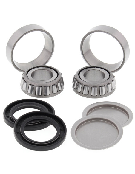 Roulements de bras oscillant ALL BALLS - ARCTIC CAT - HONDA et POLARIS