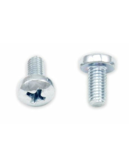 Kit vis M5 tête bombée Philips BOLT (Par 10) M5x0,8x10mm