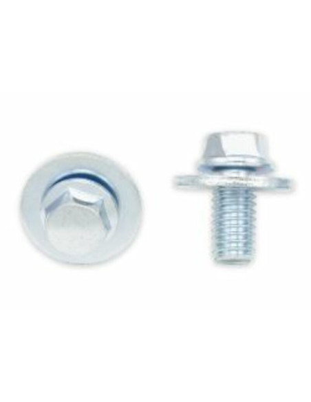 Kit vis M6 + rondelles BOLT (Par 10) M6x1x12mm