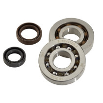 Kit roulements et joints spis de vilebrequin DOPPLER Speedfight / Trekker / Buxy / Fox (SKF C4)