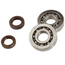 Kit roulements et joints spis de vilebrequin DOPPLER Typhoon / NRG / Stalker (SKF C4 Polyamide)