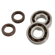 Kit roulements et joints spis de vilebrequin DOPPLER Ludix / Speedfight 3 / Vivacity 3 / Kisbee (SKF Polyamide)