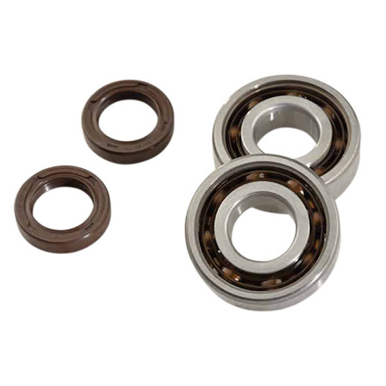Kit roulements et joints spis de vilebrequin DOPPLER Ludix / Speedfight 3 / Vivacity 3 / Kisbee (SKF Polyamide)