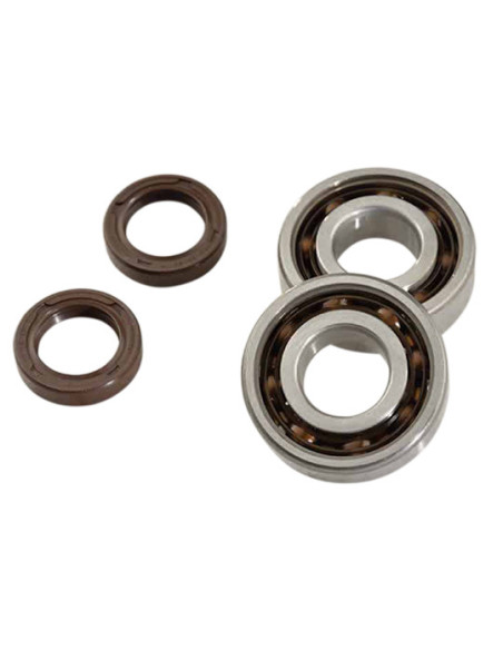Kit roulements et joints spis de vilebrequin DOPPLER Ludix / Speedfight 3 / Vivacity 3 / Kisbee (SKF Polyamide)