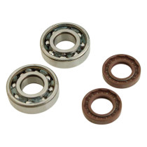 Kit roulements et joints spis de vilebrequin DOPPLER Derbi Senda / GPR (6204 SKF C4 Polyamide)