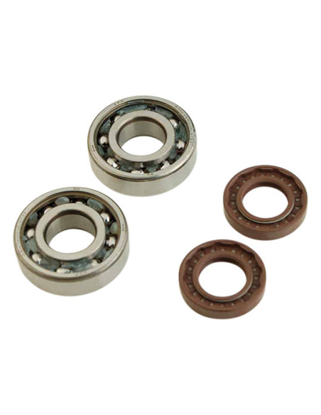 Kit roulements et joints spis de vilebrequin DOPPLER Derbi Senda / GPR (6204 SKF C4 Polyamide)