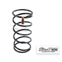 Ressort de variateur scooter STAGE6 Piaggio (medium)