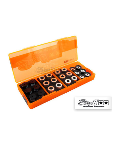 Boîte de galets de variateur STAGE6 16x13 (4 jeux de 6 pièces - 4g à 5,5g)