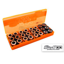 Boîte de galets de variateur STAGE6 19x15.5 (4 jeux de 6 pièces - 2,5g à 4g)