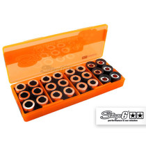 Boîte de galets de variateur STAGE6 19x15.5 (4 jeux de 6 pièces - 4g à 5,5g)