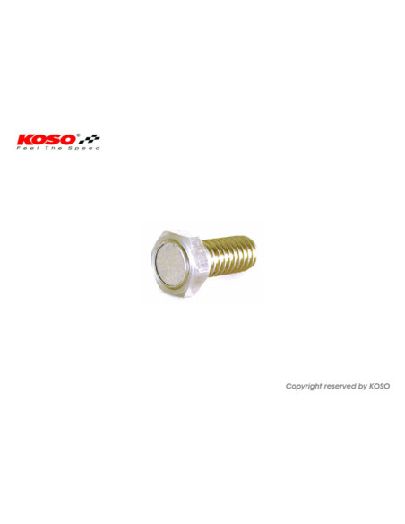 Vis magnétique Koso pour compteur de vitesse M6 X P1.0 X 24L