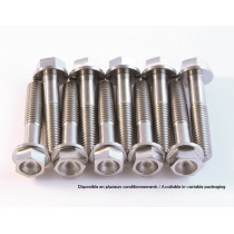 Kit 6 vis titane SCAR M6x12 protection de fourche KTM SX/SXF/EXC/EXCF Husqvarna TC/TE/FC/FE
