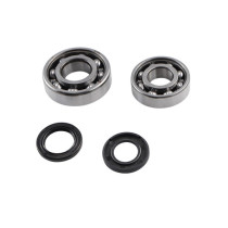 Kit roulements et joints spis de vilebrequin DOPPLER Peugeot 103 (6203 + 6204 SKF cage acier)