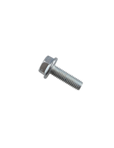 Vis origine RIEJU M8X125X25 fiaxtion couronne/ support repose-pied arrière / disque
