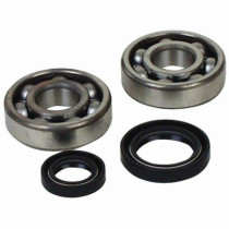 Kit roulements vilebrequin PROX BETA RR 350 390 430 480 2015 - 2024