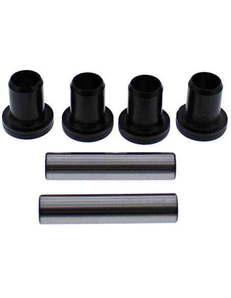 Kit de reconditionnement de suspension arrière indépendante - ARCTIC CAT