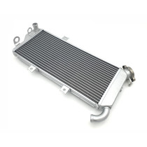 Platines Reposes Pieds Honda 600 CBR RR 2004-2008