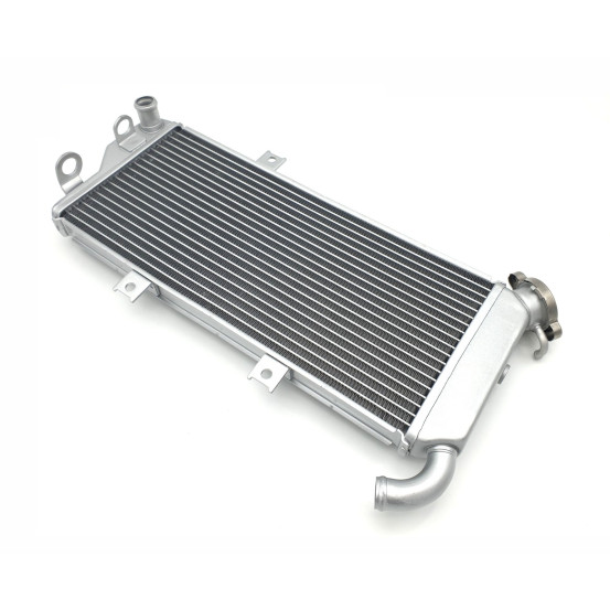 Platines Reposes Pieds Honda 600 CBR RR 2004-2008