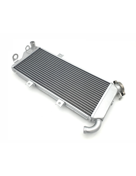 Platines Reposes Pieds Honda 600 CBR RR 2004-2008