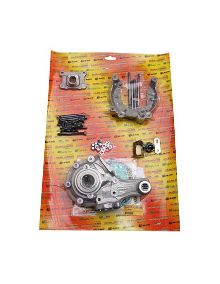 Carters moteur complet MALOSSI Peugeot 103 SP MVL