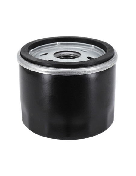 Filtre à huile origine Piaggio Moto Guzzi 1400 California 2012 / Audace 2015 / Eldorado 2015 / 1200 Griso 2015