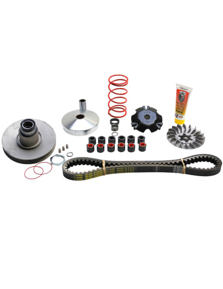Variateur Multivar Over Range MALOSSI Aprilia/Benelli/Beta/Italjet/MBK/Yamaha 50cc