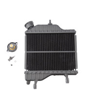 Radiateur mécaboite origine MBK / Yamaha TZR/X-Power