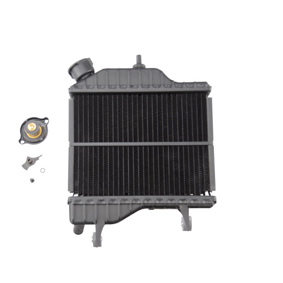 Radiateur mécaboite origine MBK / Yamaha TZR/X-Power