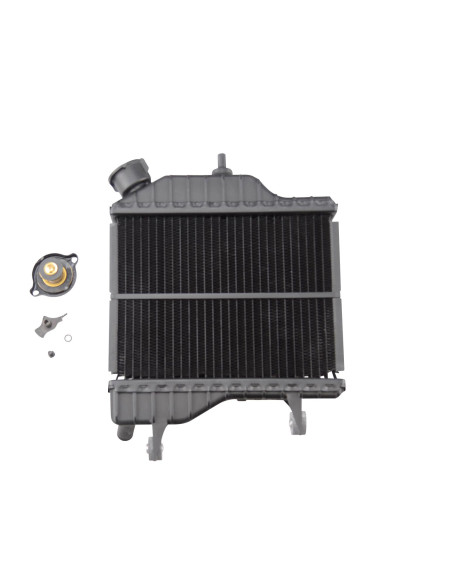 Radiateur mécaboite origine MBK / Yamaha TZR/X-Power