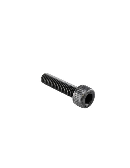 Vis de carter d'allumage mécaboite origine MBK / Yamaha Minarelli 50 AM6