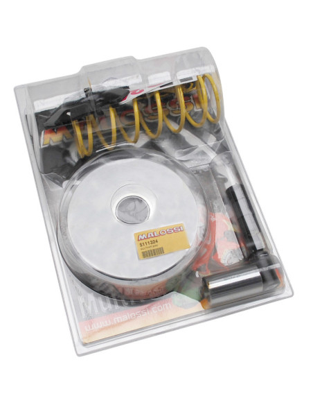 Variateur Multivar 2000 MALOSSI Suzuki 125 Epuciro 1999-2001 Burgman 2002-2020