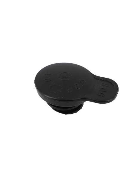 Bouchon vase d'expansion d'eau maxiscooter origine 125 Yamaha Xmax/MBK Skycruiser