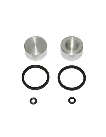 Kit pistons et joints d'étrier de frein arrière AJP (25x13)